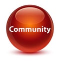 Community glassy brown round button