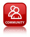 Community (group icon) special red square button Royalty Free Stock Photo