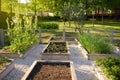 Community kitchen garden. Raised garden beds with plants in vegetable community garden