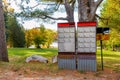 Community mailboxes along a road with a park in background Royalty Free Stock Photo