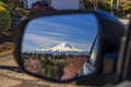 A community with purple leavers cherry plum in full bloom against the backdrop of Mt Rainier in Spring.