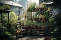 Community vegetable garden, Balcony urban gardening bio cultivation. Farmer holding fresh young plant. Planting vegetables and Royalty Free Stock Photo