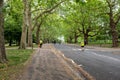 Community workers keeping finsbury Park tidy during lockdown.