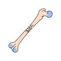 Communuted bone fracture line icon. Royalty Free Stock Photo