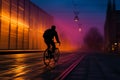 A commuter bike riders silhouette blends into the twilight backdrop