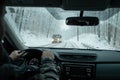 A commuter driving in a winter snow storm