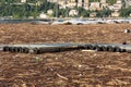 Como Italy the lake covered with timber and debris after heavy rains