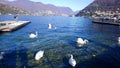 Como lake, Italy, Great view on lake and mountain