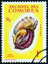 COMOROS - CIRCA 1962: A stamp printed in Comoros from the `Sea Shells` issue shows Harpa major Harpa conoidalis, circa 1962. Royalty Free Stock Photo