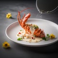 Comoros& x27; Langouste a la Vanille - A Decadent Seafood Dish