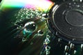 Compact disc with drops on black background, closeup view Royalty Free Stock Photo