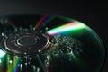 Compact disc with drops on black background, closeup view Royalty Free Stock Photo