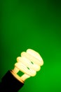 Compact flourescent light bulb on green background
