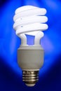 Compact Fluorescent Bulb