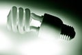 Compact fluorescent bulb Royalty Free Stock Photo