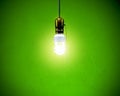 Compact Fluorescent Bulb - Hanging Royalty Free Stock Photo