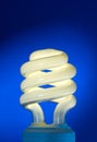 Compact Fluorescent Household Lamp