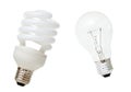 Compact Fluorescent Lamp & Incandescent Bulb