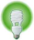 Compact Fluorescent Light Bulb