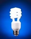 Compact Fluorescent Light Bulb