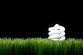 Compact fluorescent light bulb on grass