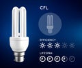 Compact fluorescent light bulb infographic with approximate estimate of energy and efficiency.