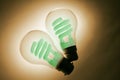 Compact Fluorescent Light Bulbs Royalty Free Stock Photo