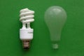 Compact Fluorescent Light (CFL) & incandescent