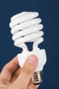 Compact Fluorescent Lightbulb Royalty Free Stock Photo
