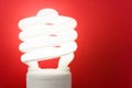 Compact Fluorescent Lightbulb Royalty Free Stock Photo