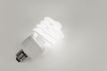 Compact Fluorescent Lightbulb Royalty Free Stock Photo