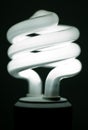 Compact Fluorescent Lightbulb Royalty Free Stock Photo