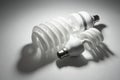 Compact Fluorescent Lightbulbs