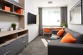 compact living area in student housing with sofa and tv