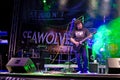 Compact Performing Live at Seawolves Royalty Free Stock Photo