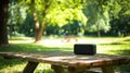 A compact portable speaker on a picnic table in a park pic Royalty Free Stock Photo