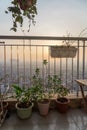 Compact space balcony garden in high-rise apartment with cityscape view in Hanoi, Vietnam Royalty Free Stock Photo