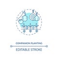 Companion planting concept icon