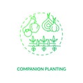 Companion planting concept icon