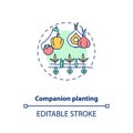 Companion planting concept icon