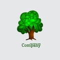 Company business icon with laced green tree Royalty Free Stock Photo