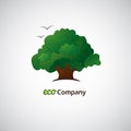 Company business icon with laced green tree Royalty Free Stock Photo