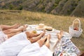 The company of female friends relaxing on summer picnic. Summer rural style picnic concept Royalty Free Stock Photo