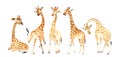 A company of funny and cute giraffes for your amazing projects. Watercolor Clipart Set isolated on white