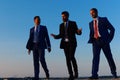 Company leaders take a walk on sunset sky background