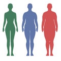 Compared to slim and fat woman\'s bodies, overweight and slender three-step thin to fat, illustration on white background