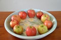 Comparing apples to apples- a fruit bowl full of apples Royalty Free Stock Photo