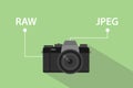 Comparing format file of camera between RAW format and JPEG format illustration with camera icon and green background Royalty Free Stock Photo