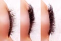 Eyelash Extension Procedure. Comparison of female eyes before and after. Royalty Free Stock Photo