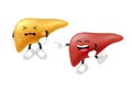 Comparison of healthy liver and fatty live, cartoon character.